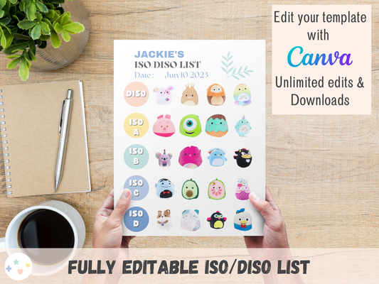 ISO List Template - Rainbow